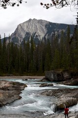 the Kicking Horse river near Field, British Columbia