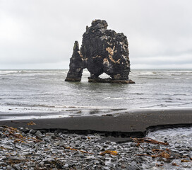 The drinking elephant or rhinoceros, basalt stack Hvitserkur along the eastern shore of Vatnsnes...