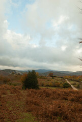 Fototapeta premium Flat and mountainous landscape of orange tones