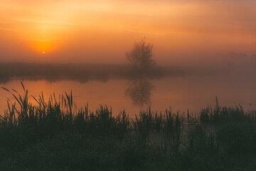 sunrise over the river