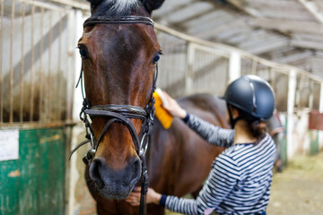 Young girl combing and cleaning her horse at the stable.
