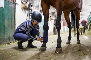 Raamstickers Young girl rider bandaging horse legs before training or competition © skumer