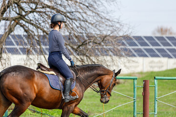 Young girl riding horse along solar batteries field in the countryside.