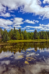 Fototapeta na wymiar Thick spruce's ont he shore add beauty to the lake - Thunder Bay, Ontario, Canada
