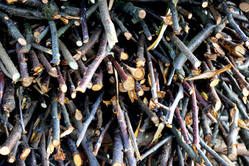 finely chopped branches, a bunch of brushwood, close-up, as a texture for a background