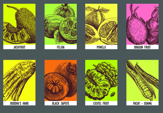 Exotic fruits cards set: Exotic fruits cards: jackfruit, Feijola, Pomelo, Dragon fruit, Buddha's hand, Black sapote, Cherimoya, Pacay - Guama