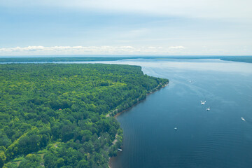 Aerial view of ocean and forest