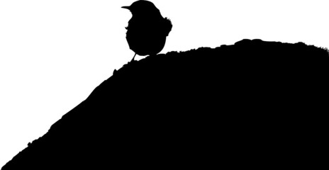 Naklejka premium Oiseau sur un rocher, silhouette noire, vecteur transparent. 