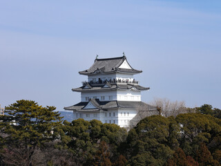 Fototapeta premium 冬の小田原城 神奈川県小田原市、日本