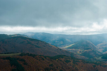 Mountain scenery with green and red forests