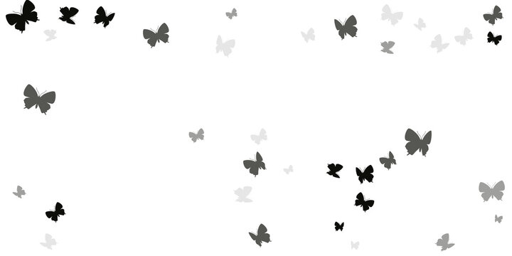 Magic black butterflies flying vector illustration. Spring ornate moths. Wild butterflies flying fantasy background. Delicate wings insects graphic design. Tropical creatures.