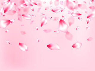 Japanese cherry blossom pink flying petals
