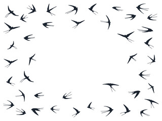 Flying swallow birds silhouettes vector illustration. Nomadic martlets swarm isolated on white.