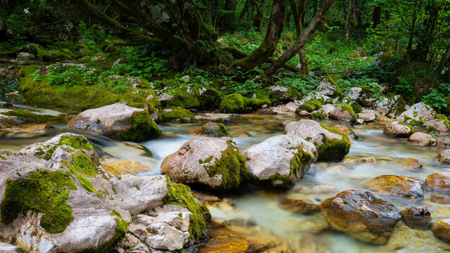 Blurred image of stream of water flowing through beautiful green forest