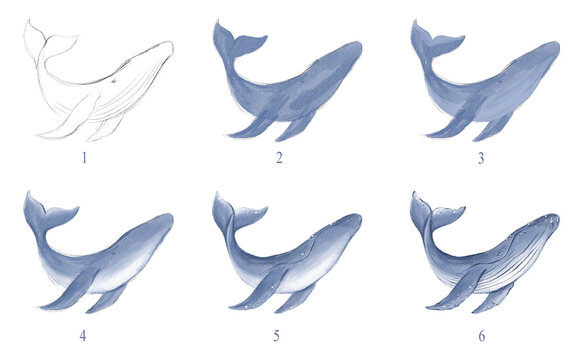 Step by step process lesson how to paint the whale for kids. Kids digital drawing tutorial. Cartoon whale illustration on white background. Worksheet how to draw a cute blue whale. Children activity. 