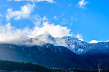 shot of majestic mountains with forest foreground in Vancouver, Canada, North America.