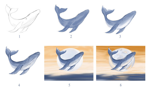 Step by step process lesson how to paint the whale for kids. Kids digital drawing tutorial. Cartoon whale illustration on white background. Worksheet how to draw a cute blue whale. Children activity. 