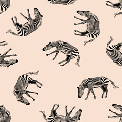 Seamless zebra texture, animal print.