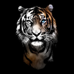 portrait of a tiger