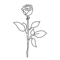 Hand drawn rose, line art. One line drawing. Garden rose with leaves. Hand drawn sketch. Vector illustration.	
