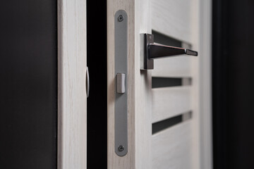 modern and secured metal door handle and latch detail
