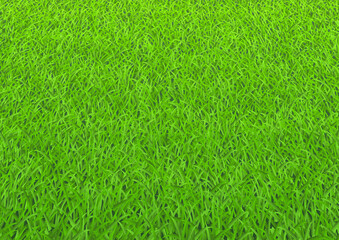 明るい芝生のベクター素材