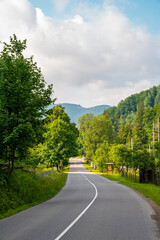 Empty highway road with white marking over dark asphalt against cloudy sky, Landscape with curved road through forest