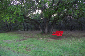 Red wooden porch swing under a large tree