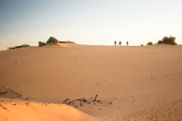 Dunes in the desert with people walking on top. Beautiful landscape in the desert. Trees in the middle of the sand. 