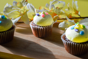 Cupcake de pâques, 