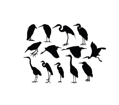Heron Bird Silhouettes, art vector design
