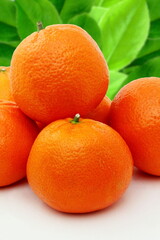 fresh tangerine or mandarin orange fruit with leaves isolated on white background