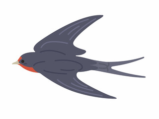 飛んでいる、ツバメのイラスト