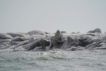 Icy breakwall with open water and waves on overcast winter day
