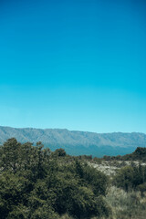 Naklejka premium nature