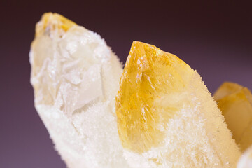 Drusen of citrine crystal with cactus growths.