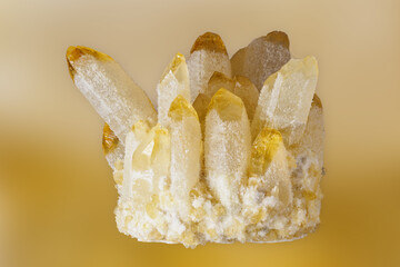 Drusen of citrine crystal with cactus growths.