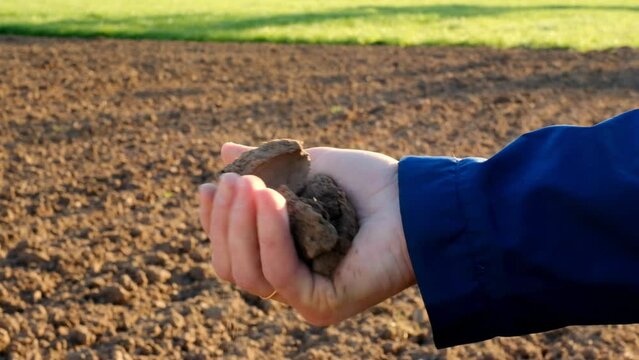 Spring farm work.Arable land.The farmer kneads the earth in his hand in the field.Sowing spring work. Soil condition before planting.Agricultural work.analysis of land and arable land. 4k footage