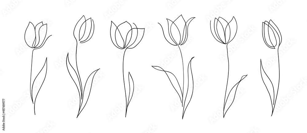 Wall mural Set of one line tulips. Hand drawn contuor drowing of spring flowers. Modern single line art.