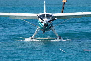 A sea Plane comes in for a water landing to a private secluded beach. 