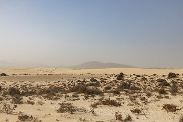 Fototapeta na wymiar Desert landscape on the island of Fuerteventura, Canary Islands, Spain.