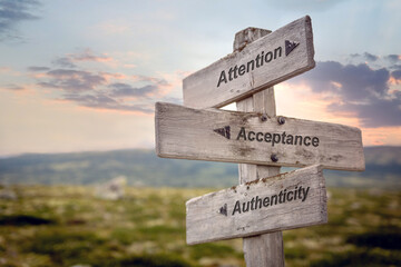 attention acceptance authenticity text quote on wooden signpost outdoors in nature during sunset.