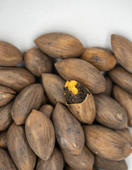 A plate of nuts, Torreya grandis