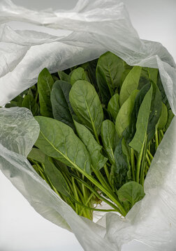 Just bought vegetables, a bag of spinach