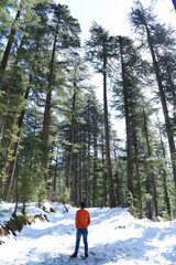 Guy outdoors in forest of himalayan cedar trees wearing orange cloth standing on snow looking sideways