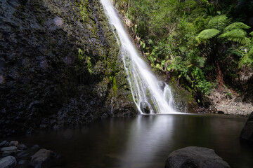 Fototapeta na wymiar Scenic Waihirere Falls and bush off route 35 around east coast