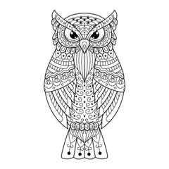 Hand drawn of owl in zentangle style