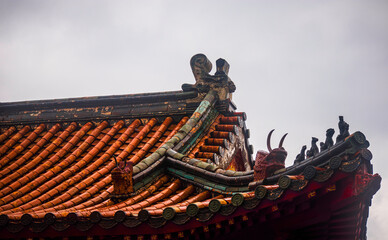 Fototapeta na wymiar close-up of traditional rooftop