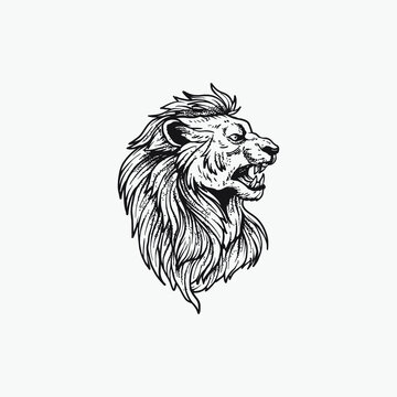 Lion head lineart illustration isolated in white background.