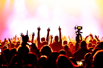 crowd of people dancing in concert